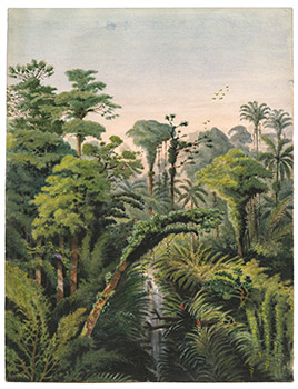 Exposition William Michaud - Vue de la forêt avec cascade